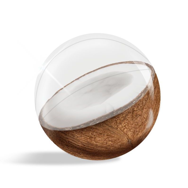 كرة شاطئ على هيئة حبة جوز هند قابل للنفخ ثلاثية الأبعاد
