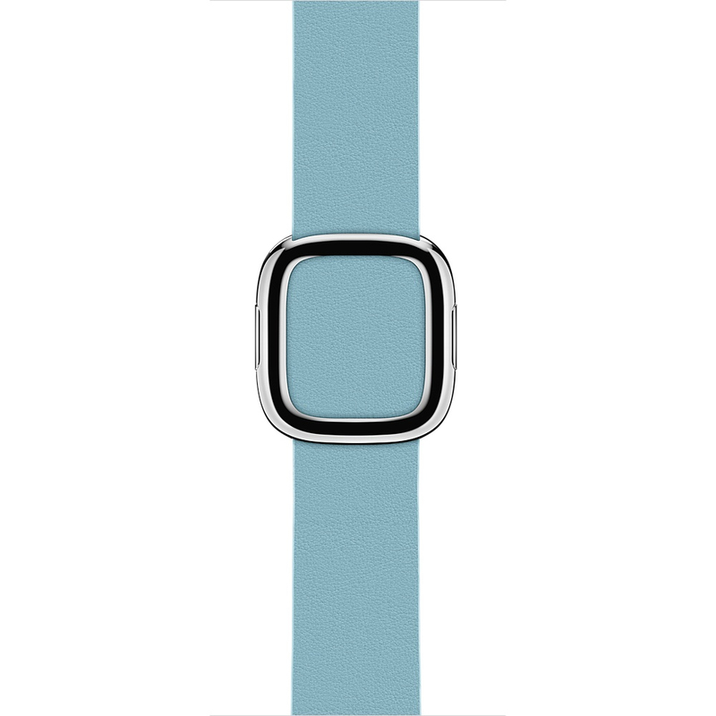 Apple Blue Jay Modern Buckle Large Apple Watch 38mm (Compatible with Apple Watch 38/40/41mm)