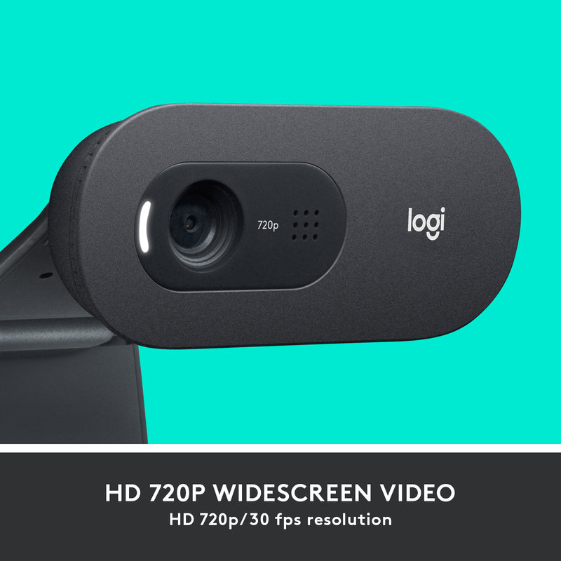 Logitech 960-001364 Webcam C505 HD USB Black